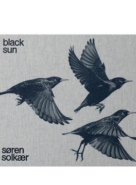 【预售】丹麦摄影师Soren Solkaer：黑太阳 Soren Solkaer: Black Sun 原版英文摄影作品集自然景观图书