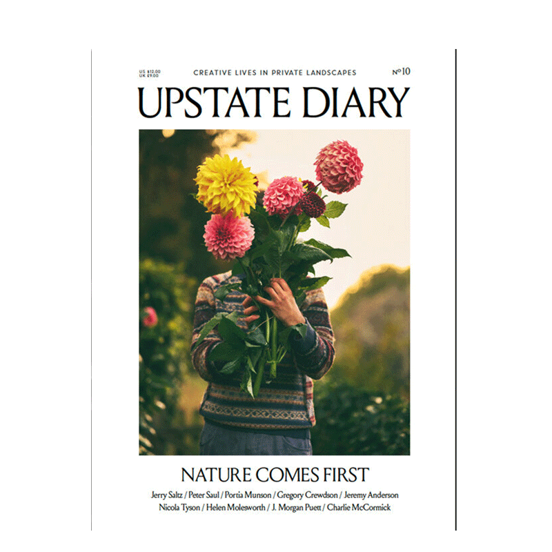 【现货】杰里·萨尔茨Jerry Saltz UPSTATE DIARY 2020年01期 N0.10书籍进口原版