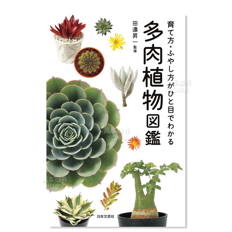 【现货】多肉植物图鉴 多肉植物図鑑 日文原版进口图书