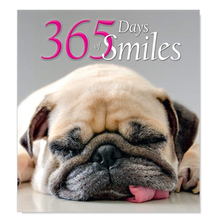 【预售】365天的微笑 365 Days of Smiles (365 Inspirations) 英文摄影集综合作品原版图书外版进口书籍White Star White Star