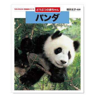 现货 〕パンダ日文绘本原版 普及版 〔普及版 图书进口书籍増井光子 熊猫