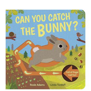 【预售】【迷宫书】你能抓住兔子吗？ Can You Catch the Bunny? 原版英文儿童趣味