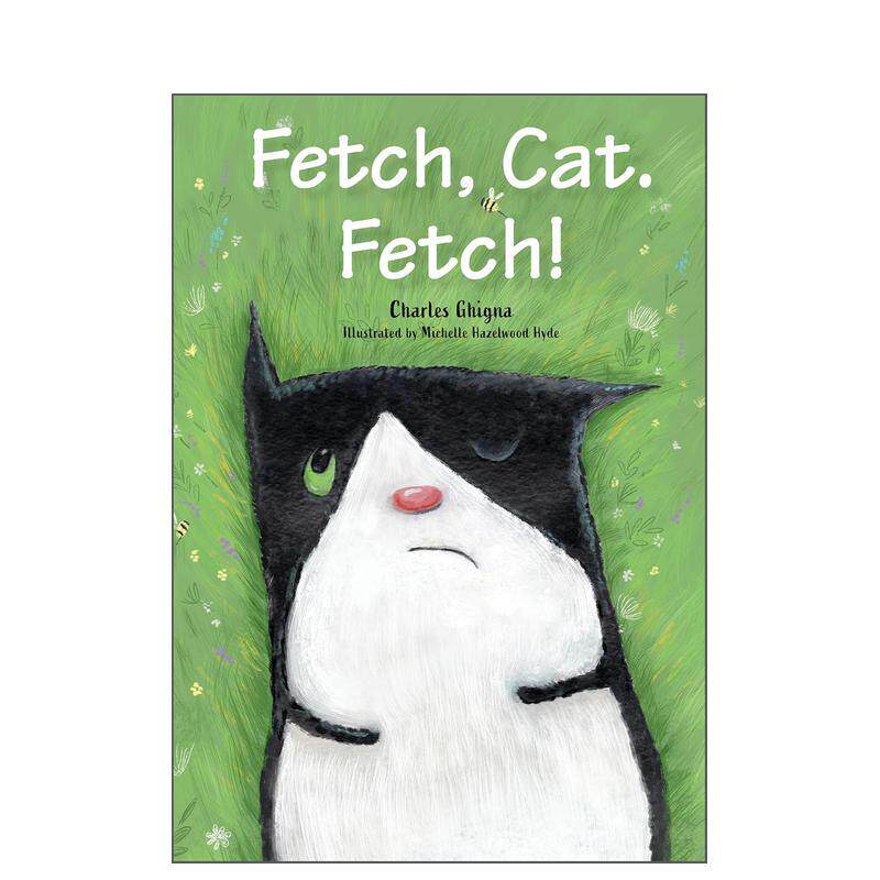 去捡回来，猫咪，去捡！ Fet