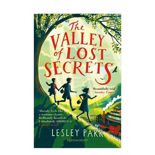 【预售】神秘谷 The Valley of Lost Secrets 英文原版青少年小说进口图书书籍