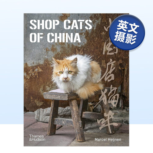 中国店猫咪ShopCatsOfChina