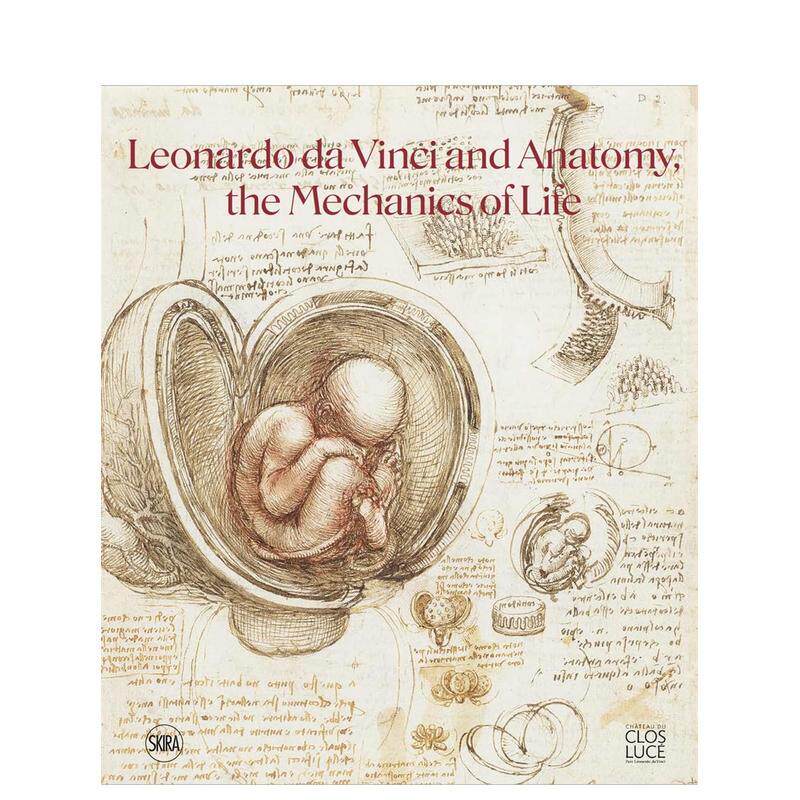 达芬奇与解剖学：生命力学 Le