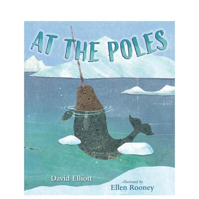 【预售】在两极 At The Poles 原版英文儿童绘本