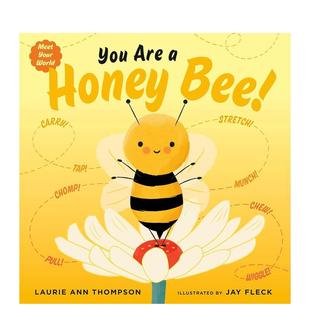 You Are 原版 现货 英文儿童绘本 Bee 你是一只蜜蜂 Honey
