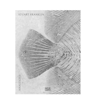 【现货】斯图亚特·富兰克林:类比  Analogies 原版英文摄影作品集图书