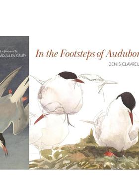 【现货】追随奥杜邦的脚步 In the Footsteps of Audubon 原版英文艺术插画原画设定集图书