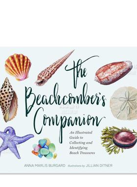 【预售】The Beachcomber‘s Companion: An Illustrated Guide to Collecting and Identifying Beach Treasures，海浪伴侣：一本