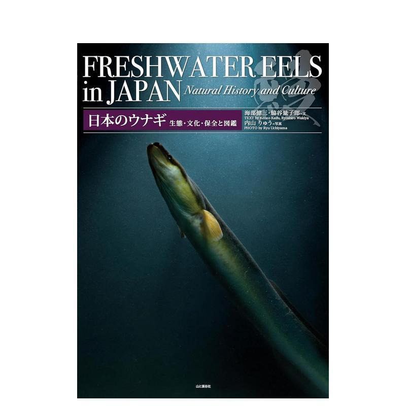 【现货】日本鳗鱼:生态、文化、保护及图鉴 日本のウナギ 生态?文化?保全と図鉴 原版日文生活