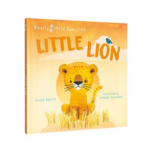 【现货】小狮子的一天 【Really Wild Families】Little Lion 原版英文儿童绘本图书