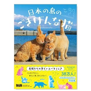 日本岛上可爱的猫写真集 日本の島のごきげんな猫 日文猫咪摄影集原版进口图书 宠物拍摄照片书可单拍