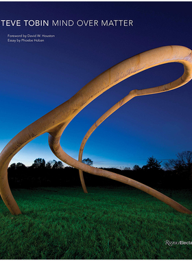 【现货】Steve Tobin: Mind Over Matter，史蒂夫·托宾:精神重于物质书籍进口原版
