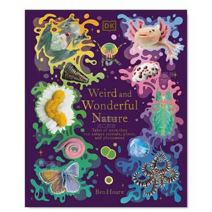 大自然 Weird 预售 怪异奇妙 进口书籍 Hoare 图书外版 DK宝藏 Wonderful and Treasures Ben Nature英文儿童绘本原版