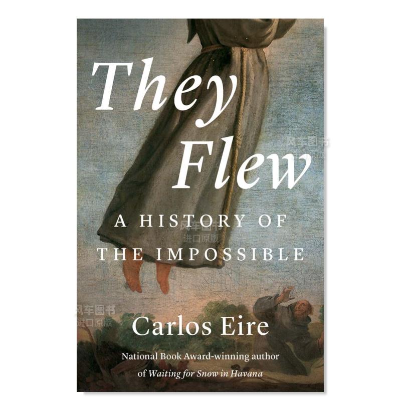 他们飞了起来：不可能的历史Th