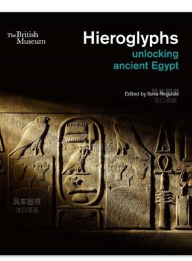 【预售】象形字：解密古埃及 Hieroglyphs : unlocking ancient Egypt 艺术英文原版图书进口书籍