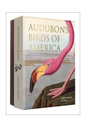 【预售】奥杜邦的美国鸟类：阿贝维尔感谢卡套装 Audubon's Birds of America:An Abbeville Notecard Set 原版明信片图书书籍