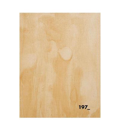 【预售】挖掘：穿越遗失的旅程 Excavation : A Journey Through Loss 进 进口图书