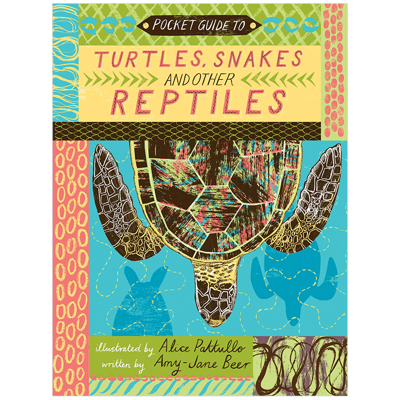 【现货】Turtles, Snakes and other Reptile海龟、蛇和其他爬行动物指南原版进口图书书籍