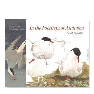 進口外版 現貨 追隨奧杜邦 the Footsteps 腳步 圖書 Audubon 英文原版