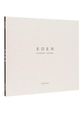 【现货】迪里克·鲍茨：图像创作者 Dieric Bouts : Creator of Images 原版英文艺术画册画集图书