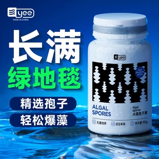 yee兰寿短绒绿藻种水藻孢子长绒藻金鱼饲料鱼缸爆藻绿苔鱼缸造景