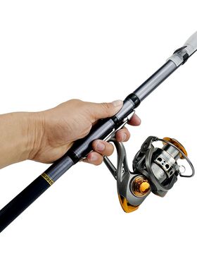Dark Gray Telescopic Carp Fishing Rod, Short Rigid Telescopi