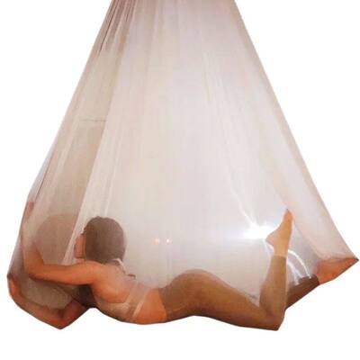 WellsemAeriaYogHckTns