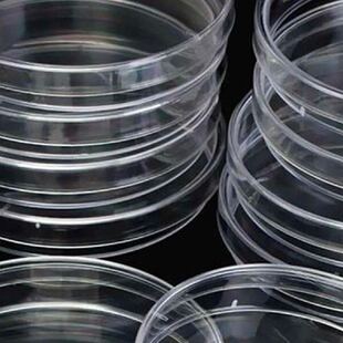 Plastic Petri Dish Petri Dish Plastic Plastic Petri Dish