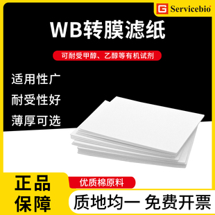 blot实验室专用 蛋白转膜滤纸western 赛维尔WB转印滤纸薄款 厚款