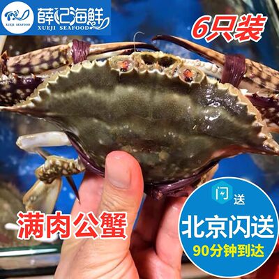 6只装5-8两1只满肉公母梭子蟹