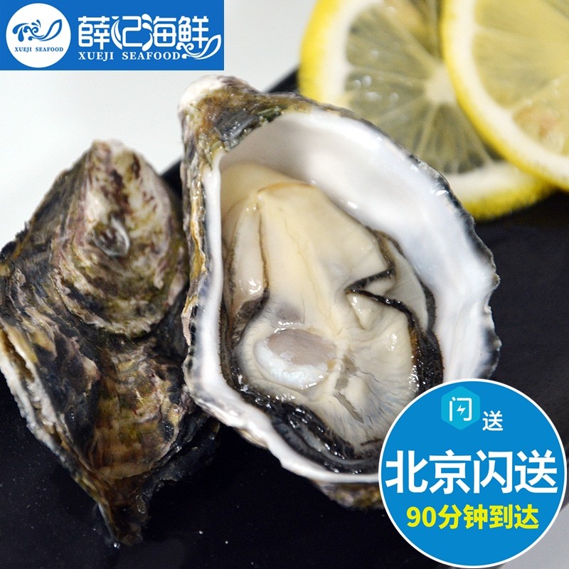 北京闪送 新西兰进口鲜活生蚝牡蛎马尔伯勒 太平洋 bluff 3只起拍
