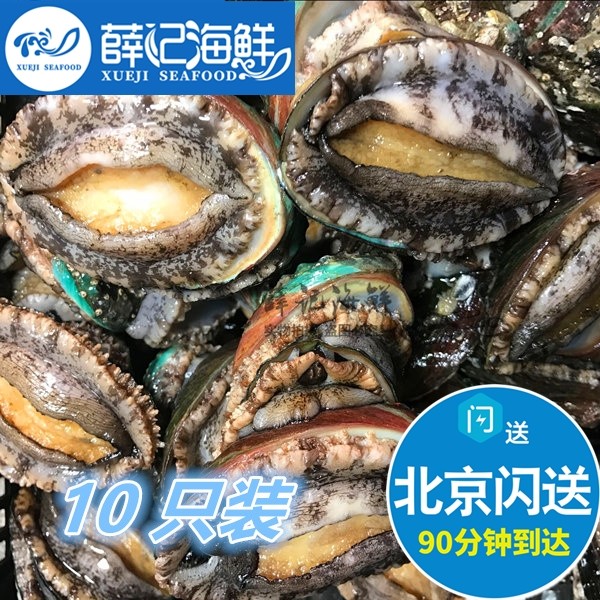 10只装 70g/只 7头鲍 北京闪送 大鲍鱼新鲜鲜活 海鲜 大连鲍鱼