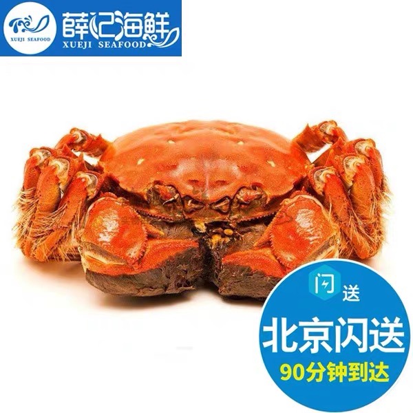 公3.3-3.5两螃蟹鲜活大闸蟹