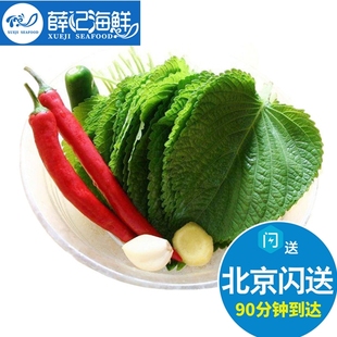 日本料理寿司叶 50片 苏子叶 大叶 新鲜紫苏叶 不单独出售