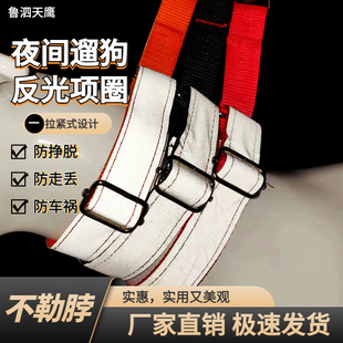 一拉紧狗狗项圈反光脖圈大小中型犬防脱防丢宠物遛幼犬颈圈牵引绳