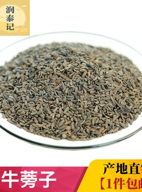 牛蒡子新货无硫高含量干度好