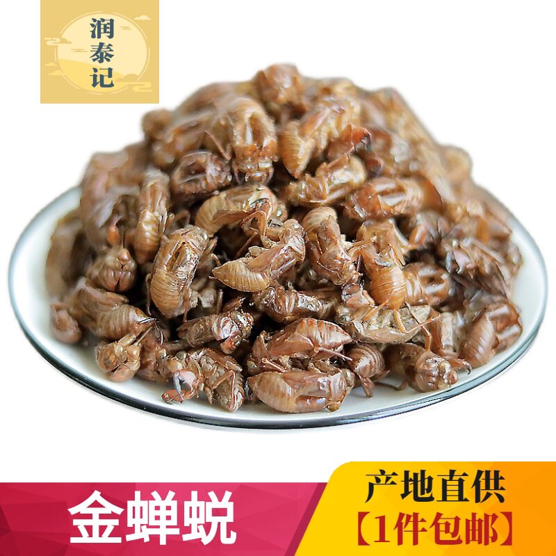 中药材金蝉蜕知了皮250g包邮 蝉衣 蝉壳虫 蜕虫退爬了猴壳金蝉衣
