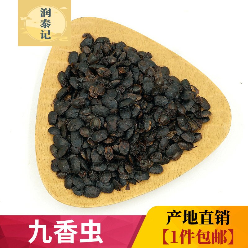 云南野生九香虫中药材500克 打屁虫 屁巴虫 臭壳子虫板虫黑蝽屁巴