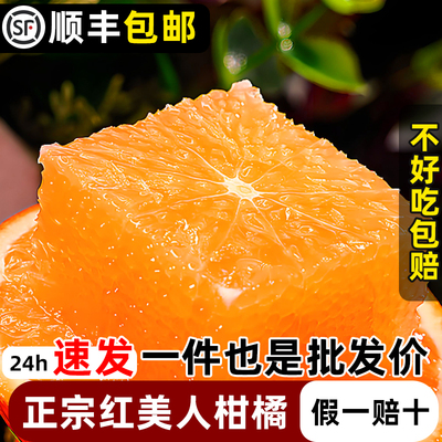 红美人柑橘果冻橙新鲜水果