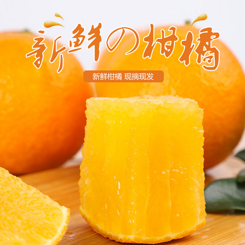 红美人柑橘新鲜桔子现摘爱媛28号