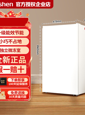 容声95升单门小型节能家用宿舍租房冷藏一级能效白色小冰箱