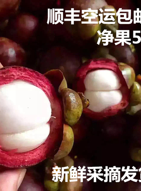 海南三亚山竹5斤空运包邮新鲜沙竹油竹5A级特大果现摘孕妇水果