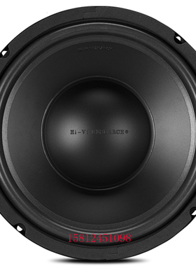 【惠威扬声器专卖店】HiVi 惠威 SS10 低中音扬声器/现货/只