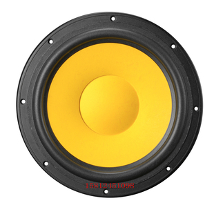 只 全新惠威 钕铁硼10寸喇叭 中低音扬声器 外径298毫米 D10G
