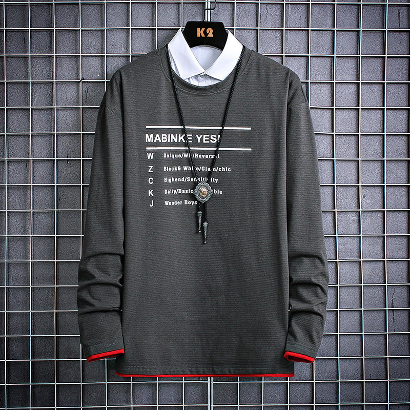 Mesh shot autumn long sleeve printed crew neck men's T-shirt