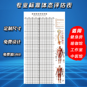 工作室健身房壁画体态评估表壁画体姿体态测量私教瑜伽评估图壁纸