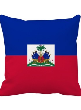 家象征符号图案方形抱枕靠枕沙发靠垫双面含芯礼物学校幼儿园装饰